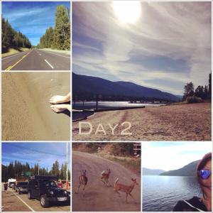 10659140_10154654472670424_8224595232984878012_n